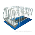 Pig Farm Equipment/Pig Crate/Hot Galvanizing Gestation Crate